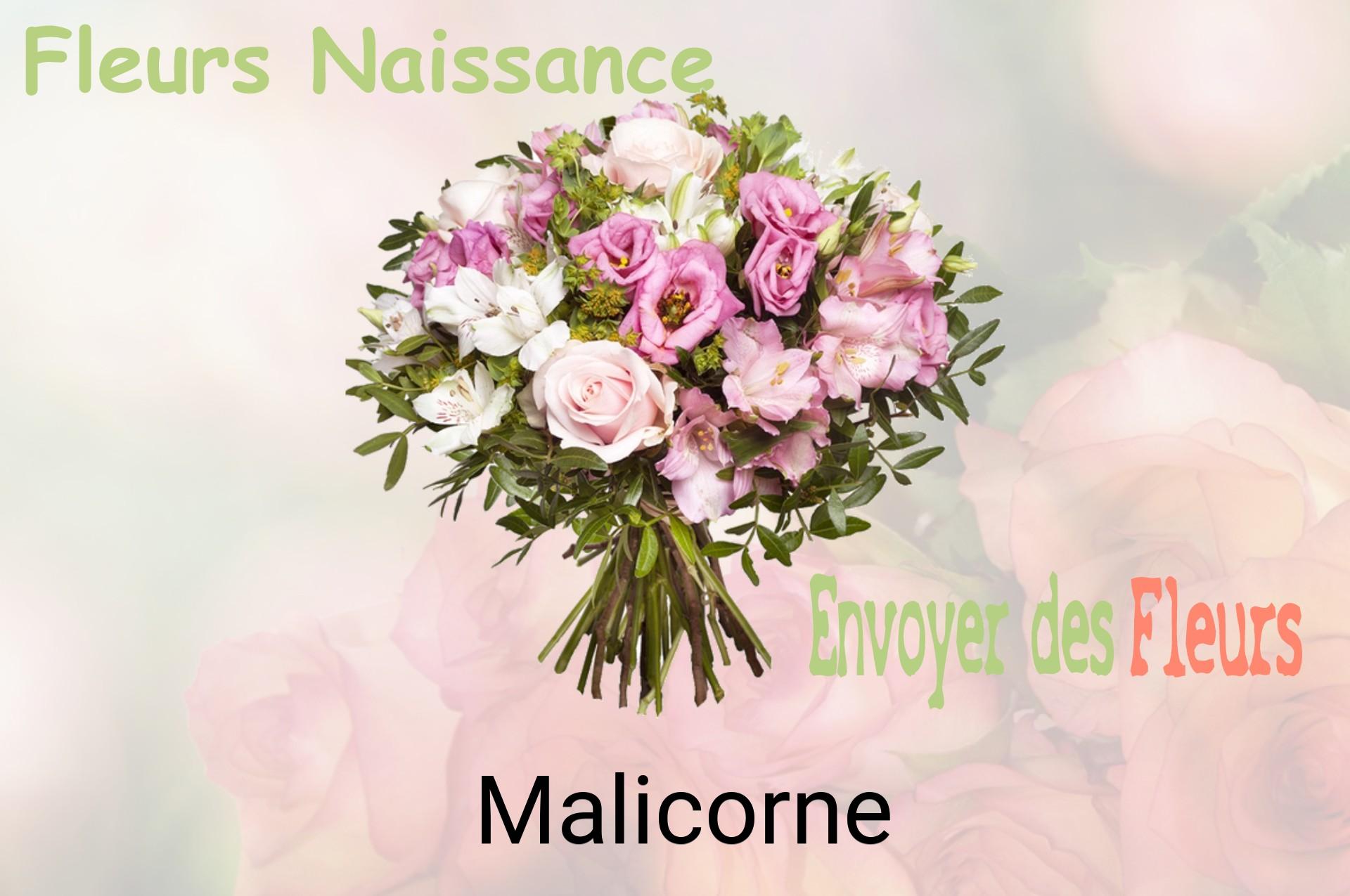 Bouquet de fleurs de naissance livré à Malicorne
